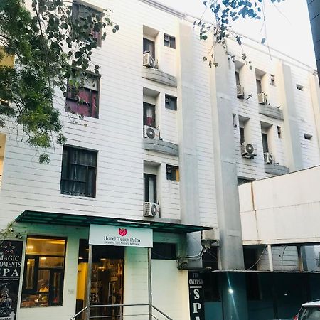 斋浦尔 Tulip Palm酒店 外观 照片