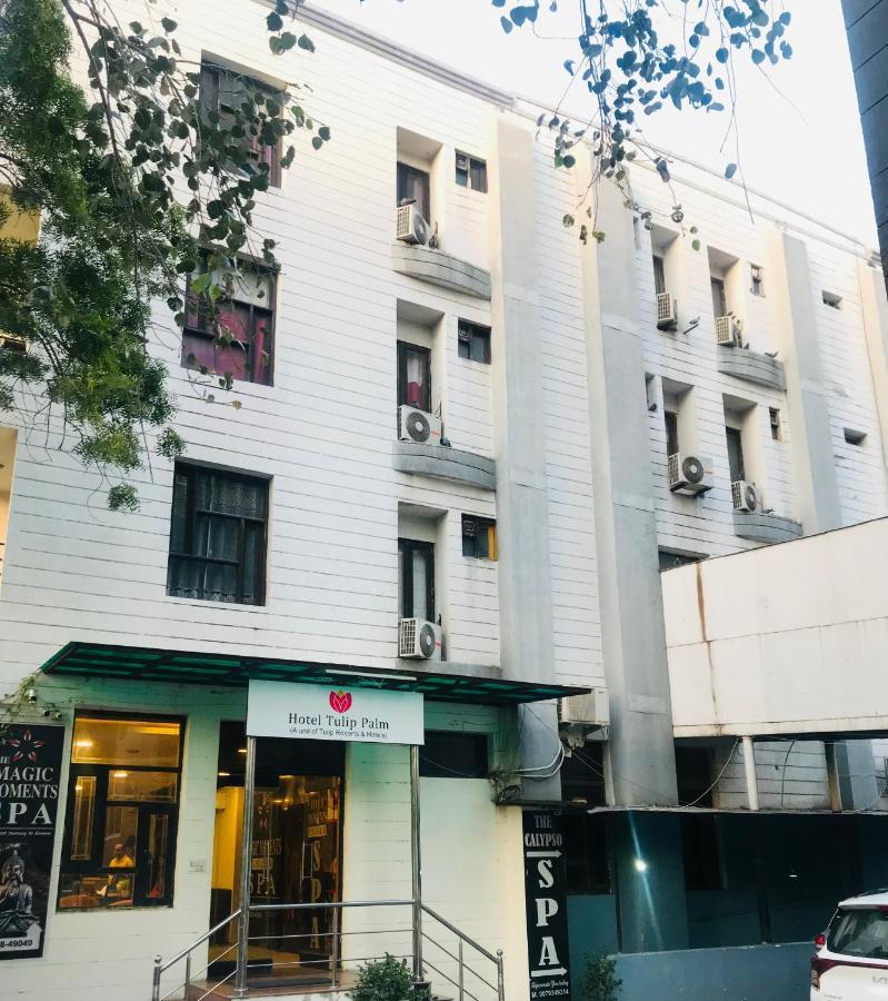 斋浦尔 Tulip Palm酒店 外观 照片